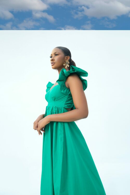 pexels-sheyilor-photography-15266232