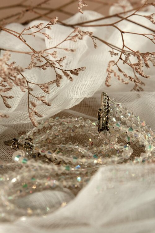 pexels-karen-laark-boshoff-8281518