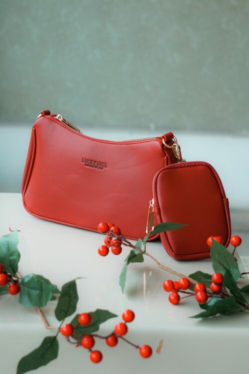 pexels-moises-ribeiro-11031116