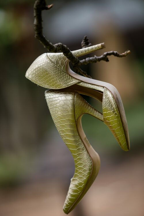 pexels-antony-trivet-13644996