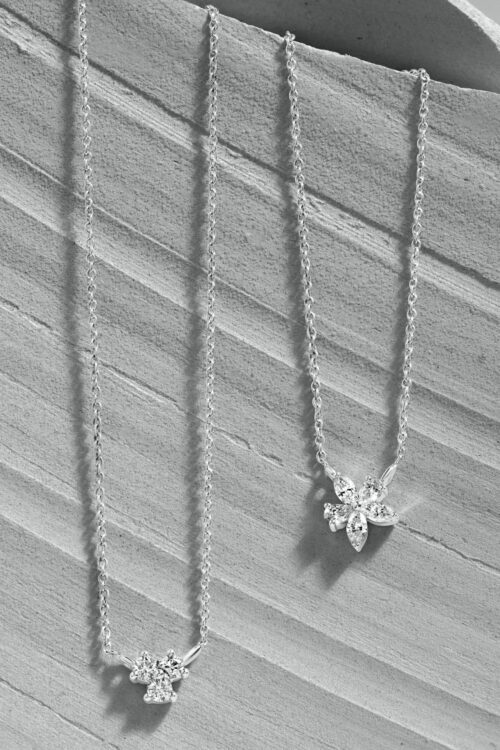 pexels-the-glorious-studio-10037655